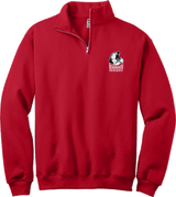 Berdnikov Bears NuBlend 1/4-Zip Cadet Collar Sweatshirt