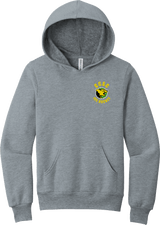 Chester County Youth Sponge Fleece Pullover Hoodie