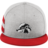 Allegheny Badgers New Era Shadow Heather Striped Flat Bill Snapback Cap